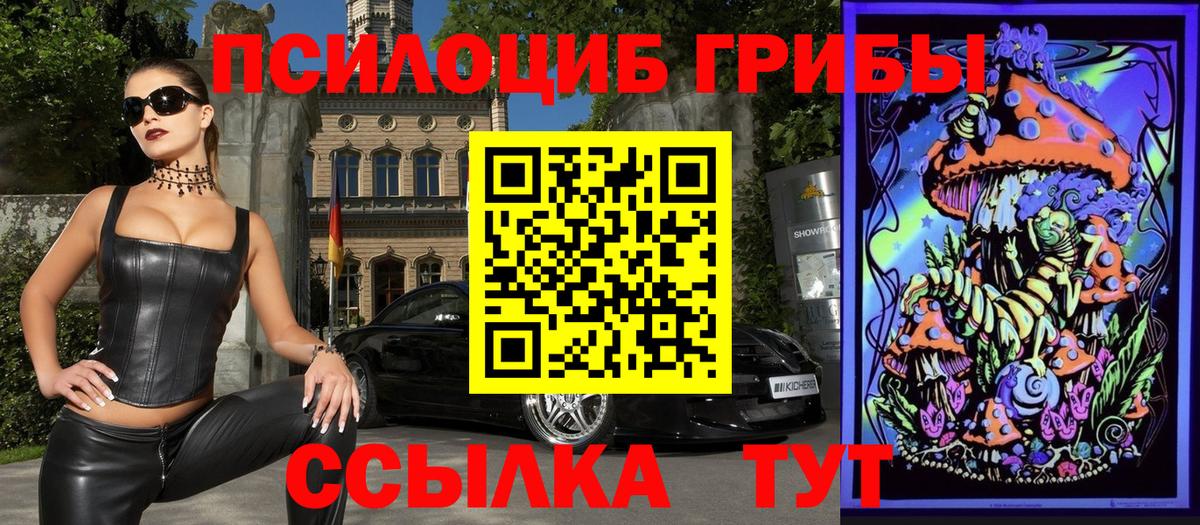 Галлюциногенные грибы прущие грибы  наркотики  Родники  Вход с VPN  Псилоцибиновые грибы Psilocybine cubensis 
